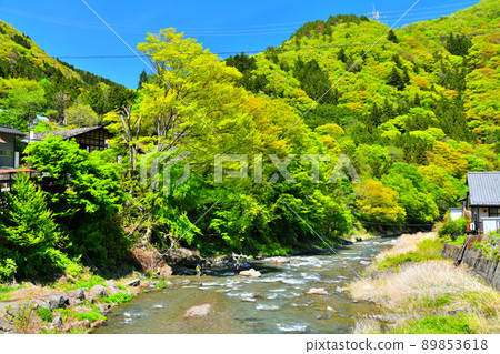 Scenery of Ueno Village / Around the Former Kurosawa Residence (Ueno Village, Gunma Prefecture) [2022.5] 89853618