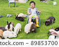 Asian cute boy smiling sitting on a chair in the garden lawn among the bunnies.Happy day.Free time and holiday activities. 89853700
