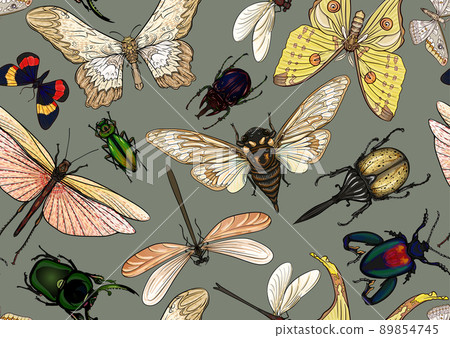 Set of insects: beetles, butterflies, moths, dragonflies. Set of insects: beetles, butterflies, moths, dragonflies. 89854745