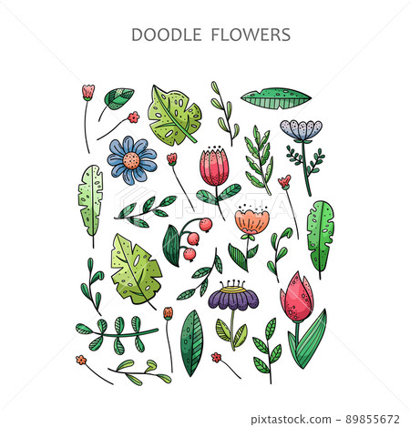 Hand drawn doodle set of the floral elements. Flowers, plants, leaves. Hand drawn doodle set of the floral elements. Flowers, plants, leaves. 89855672