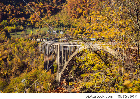 Montenegro. Dzhurdzhevich Bridge Over The River Tara foggy morning 89856607