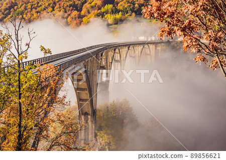 Montenegro. Dzhurdzhevich Bridge Over The River Tara foggy morning 89856621