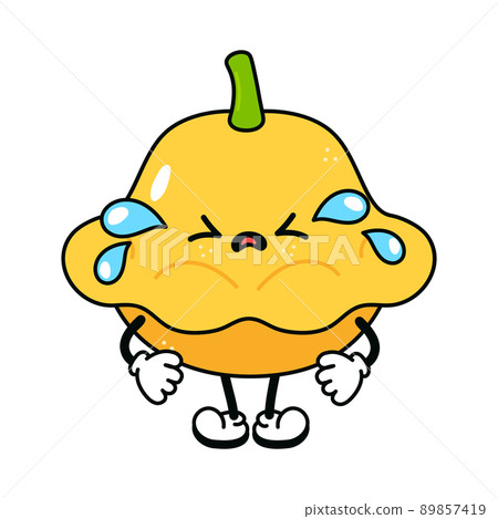 Cute funny crying sad yellow squash character. Vector hand drawn traditional cartoon vintage, retro,kawaii character illustration icon. Isolated white background. Cry yellow squash character 89857419