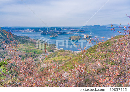 [Setouchi Shimanami Kaido] Kurushima Kaikyo Bridge seen from Kirosan Observatory Park where cherry blossoms bloom 89857535