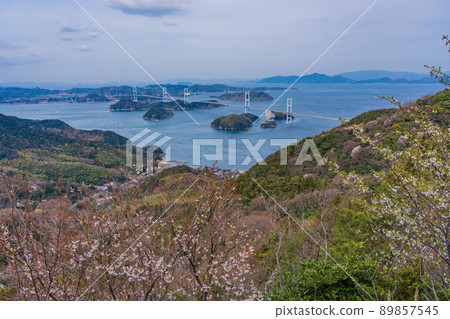 [Setouchi Shimanami Kaido] Kurushima Kaikyo Bridge seen from Kirosan Observatory Park where cherry blossoms bloom 89857545