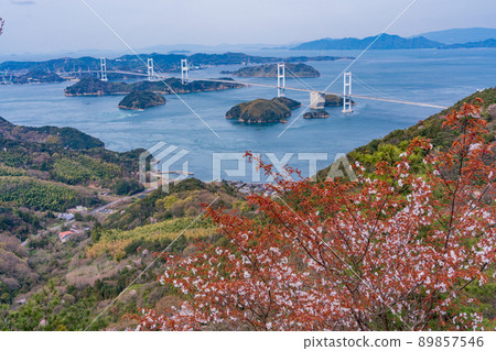 [Setouchi Shimanami Kaido] Kurushima Kaikyo Bridge seen from Kirosan Observatory Park where cherry blossoms bloom 89857546