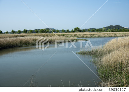 Siheung Tidal Flat Ecological Park Siheung Tidal Flat Ecological Park 89859127