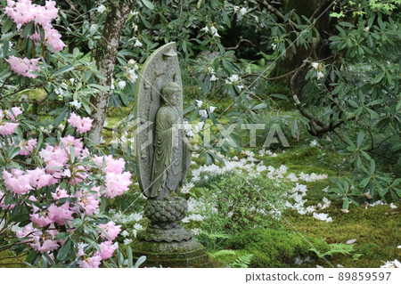 粉色花瓣石楠木花樹、觀音大人、綠葉樹和苔蘚寺院花園景觀 89859597