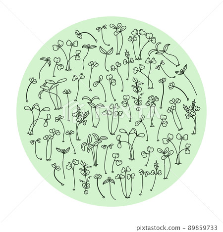 Vector illustration of microgreens. Healthy young seedlings. Healthy eco-friendly food. Vector illustration of microgreens. Healthy young seedlings. Healthy eco-friendly food. 89859733