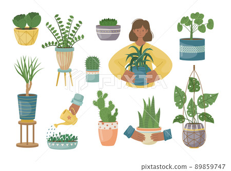 The set of house plants in the pots. Planting plants. Decorative plants in the interior of the house. Flat style. 89859747