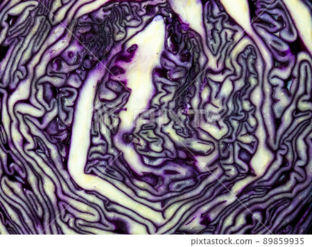 Texture of pink red cabbage cut in half close up Texture of pink red cabbage cut in half close up 89859935