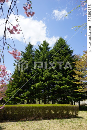 Spring Forest Park Fureai no Mori Spring Forest Park Fureai no Mori 89860188