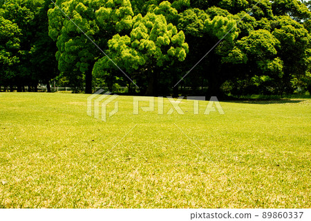 草坪 草坪 89860337