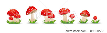 Big Set mushrooms toadstool. Inedible mushrooms. Vector illustration in flat style. 89860533