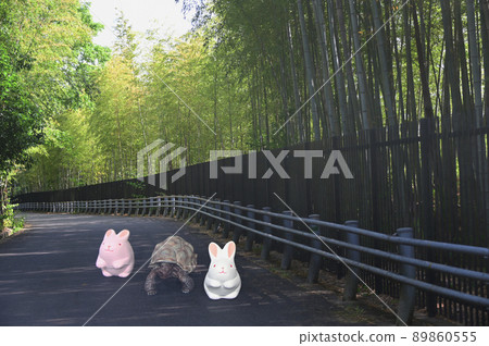 竹林兔和龜 竹林兔和龜 89860555