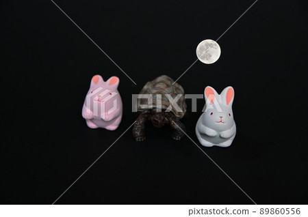 兔子、烏龜和滿月 兔子、烏龜和滿月 89860556