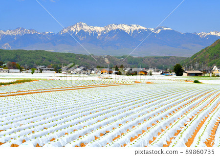 從川上村（長野縣川上村）看向八岳[2022.5] 89860735