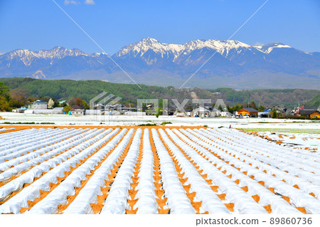 從川上村（長野縣川上村）看向八岳[2022.5] 89860736