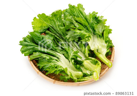 播州小船，一種傳統蔬菜 89863131