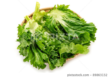 Banshu Kobuna, a traditional vegetable 89863132