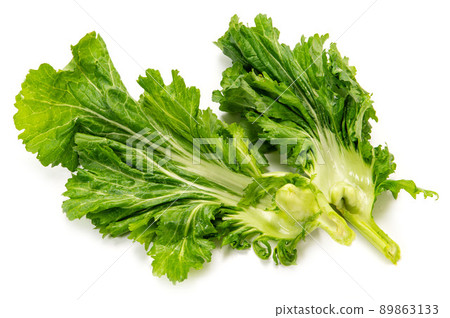 Banshu Kobuna, a traditional vegetable 89863133