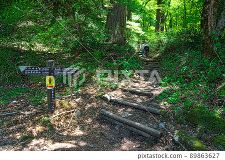 [100 Famous Mountains of Japan] Daisen, the entrance to the Gyoja valley mountain trail in early summer, Daisen-cho, Saihaku-gun, Tottori Prefecture 89863627