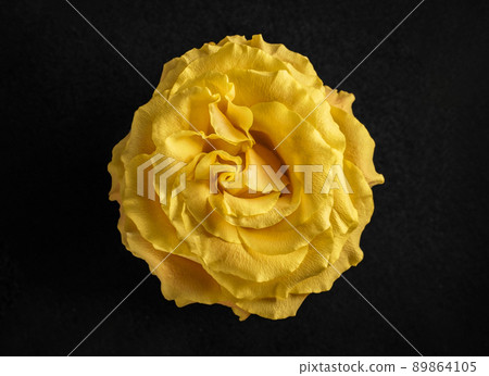 Top view of a flower on black background. Closeup. Top view of a flower on black background. Closeup. 89864105