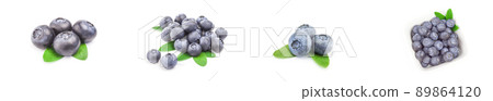 Collage of great bilberry isolated on a white background Collage of great bilberry isolated on a white background 89864120
