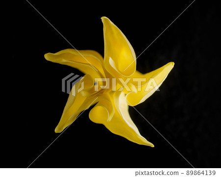 Top view of a flower on black background. On black background. 89864139
