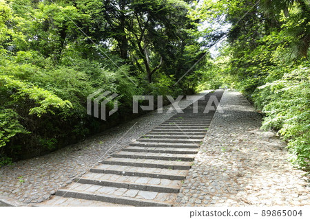 Dainenji stone steps Dainenji fresh green spring green landscape Dainenji stone steps Dainenji fresh green spring green landscape 89865004