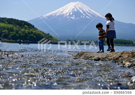 [山梨] 流入富士五湖和河口湖的河流熠熠生輝。 89866566