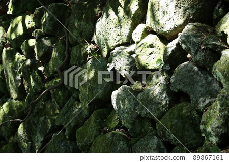 透過樹林沐浴在陽光下的石垣島 透過樹林沐浴在陽光下的石垣島 89867161