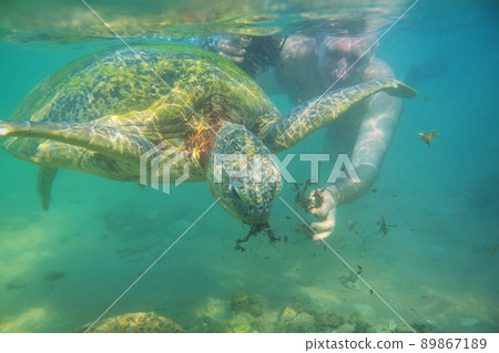 Turtle and boy Turtle and boy 89867189