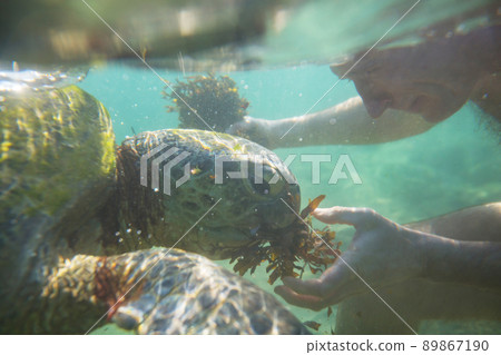 Turtle and boy Turtle and boy 89867190