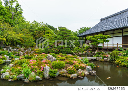 京都東治院初夏 89867263