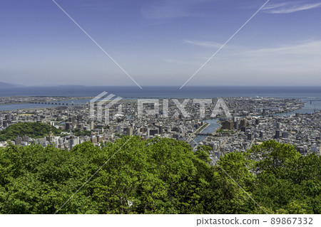 德島市區 德島縣德島市 89867332