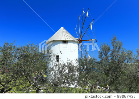[Kagawa Prefecture] Shodoshima Olive Garden under clear skies 89867455