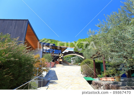 [香川縣]晴空下的小豆島橄欖園 89867470