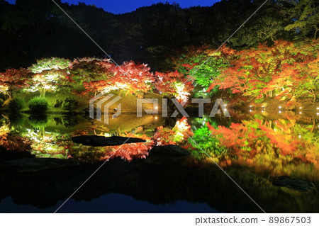 [Kagawa Prefecture] Autumn leaves lit up in Ritsurin Garden (Kogetsu-tei) 89867503