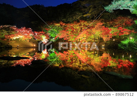 [Kagawa Prefecture] Autumn leaves lit up in Ritsurin Garden (Kogetsu-tei) 89867512