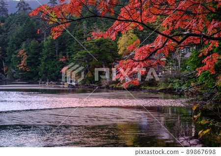 清晨的白毛池秋葉 清晨的白毛池秋葉 89867698