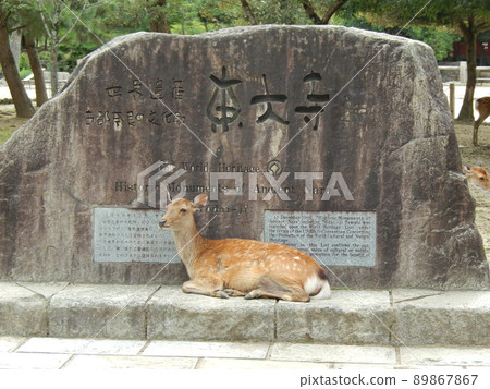 Stone sign and deer at Todaiji Temple in Nara Park Stone sign and deer at Todaiji Temple in Nara Park 89867867