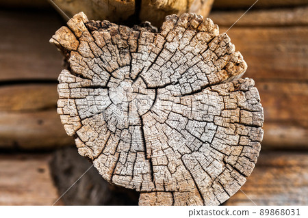 Brown branch, showing age and years tree. Texture tree, cross section. Outdoor photo Brown branch, showing age and years tree. Texture tree, cross section. Outdoor photo 89868031