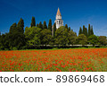 A field of red poppies with the bell tower of the church of Aquileia in the background in a sunny day 89869468