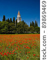 A field of red poppies with the bell tower of the church of Aquileia in the background in a sunny day 89869469