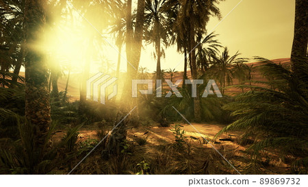 savannah valley and sand desert after colorful sunset 89869732