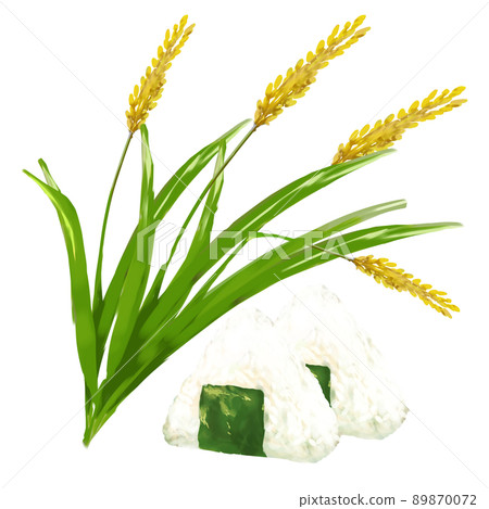Rice ball and rice field 89870072