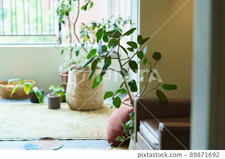 Interior with green * Property release acquired Interior with green * Property release acquired 89871692