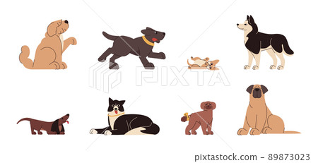Flat set of various dog breeds and sizes Flat set of various dog breeds and sizes 89873023