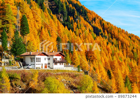 Alps forest house autumn mountains 89873244